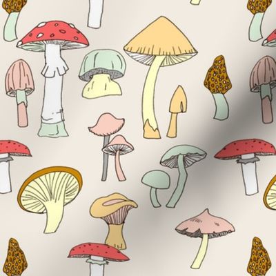 Hand drawn mushrooms in color