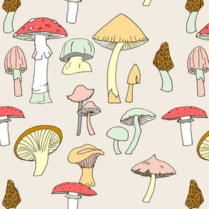 Hand drawn mushrooms in color