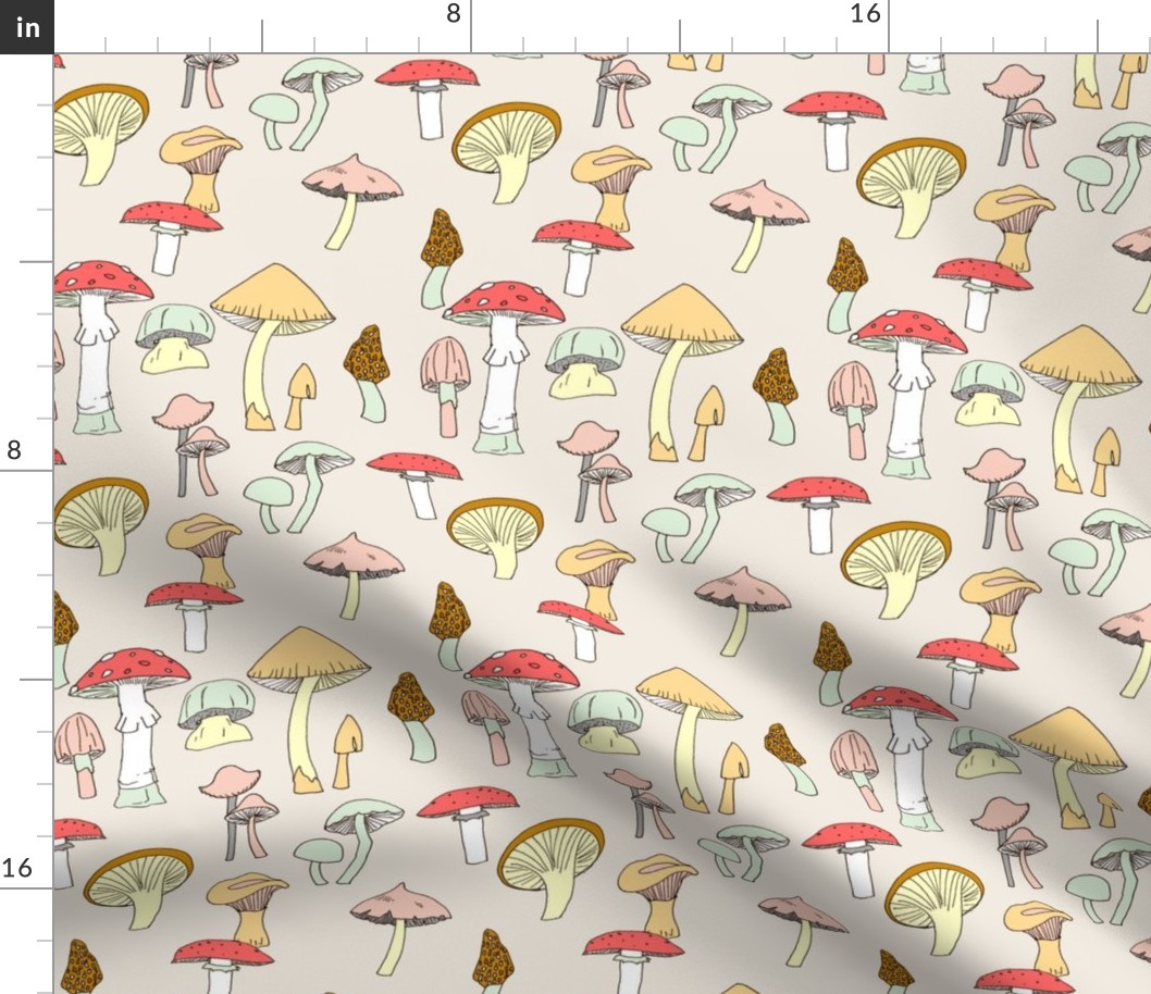 Hand drawn mushrooms in color