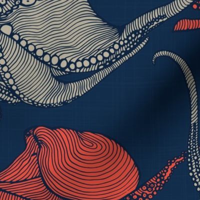 Cephalopod - Octopi - Navy