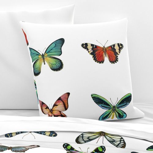 Large Butterflies for Pillows