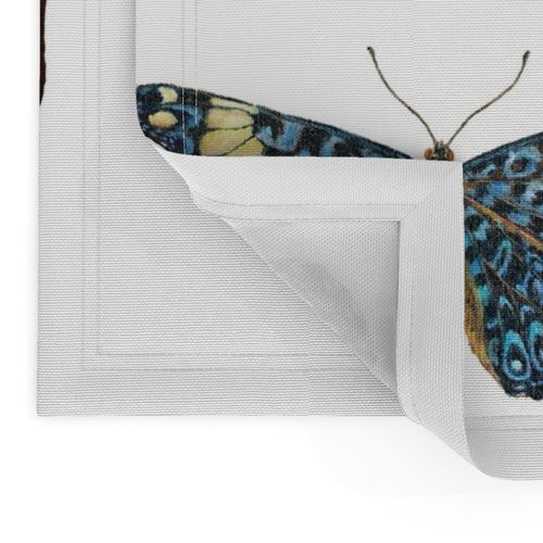 Large Butterflies for Pillows