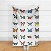 Large Butterflies for Pillows