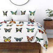 Large Butterflies for Pillows