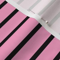 Stripes - Horizontal - Mid Pink (#FBA0C6) and Black (#000000) 