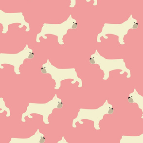 French Bulldogs in Pink