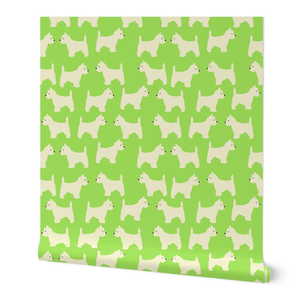 West Highland Terrier in lime green