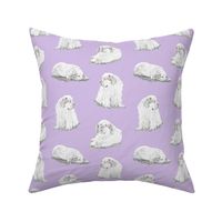 Relaxing Clumber spaniels - purple