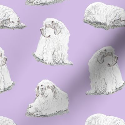 Relaxing Clumber spaniels - purple