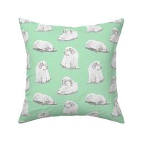 Relaxing Clumber spaniels - green