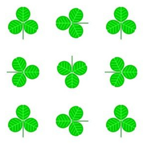 00504220 : shamrock 4 : W