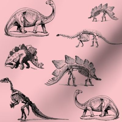  Museum Animals, Dinosaur Skeletons, Black and Light Pink
