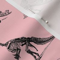  Museum Animals, Dinosaur Skeletons, Black and Light Pink