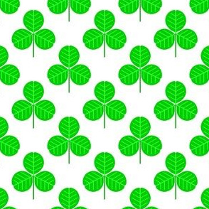 00504234 : shamrock 1x dense