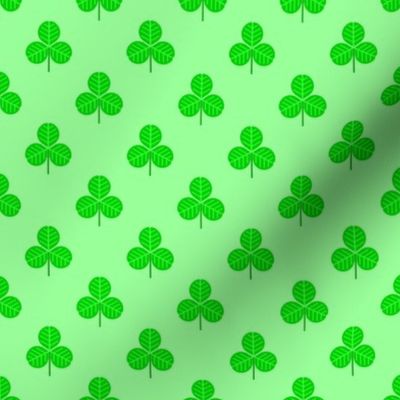 00504237 : shamrock 1x medium