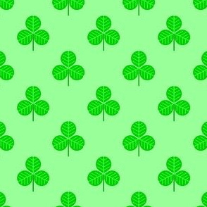 00504237 : shamrock 1x medium