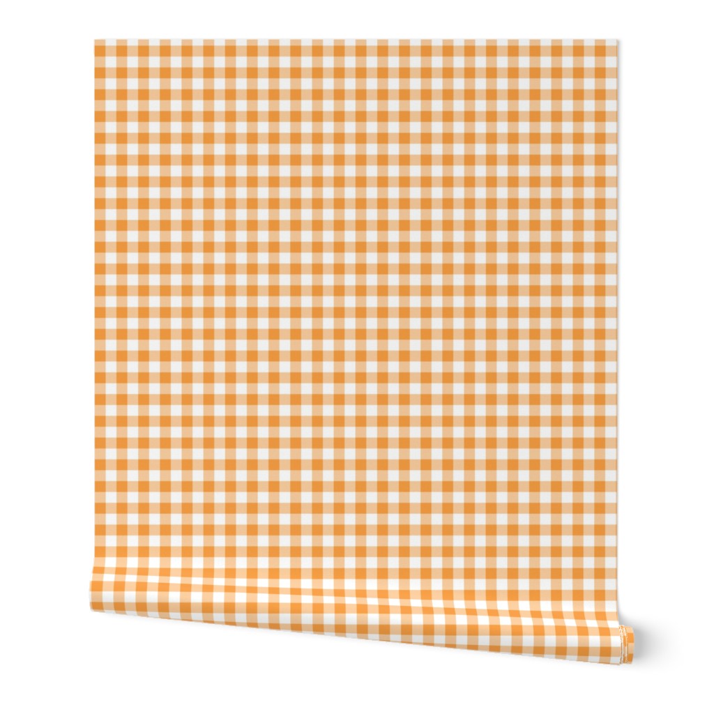 Mini Gingham Tangerine