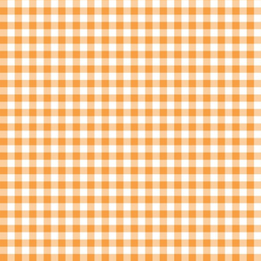 Mini Gingham Tangerine