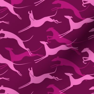 jumping greys magenta