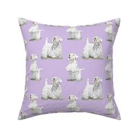 Posing Sealyham terriers - purple