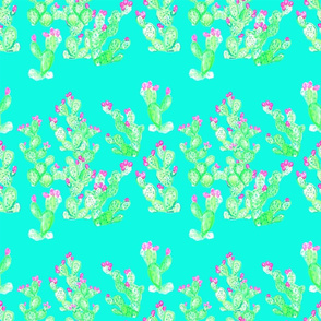 Prickly Pear Spring Turquoise 2
