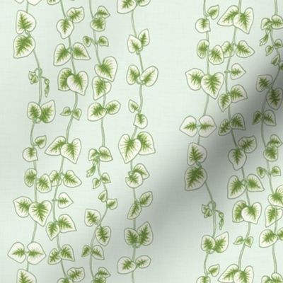 String of Hearts Vine Pale Green // Small