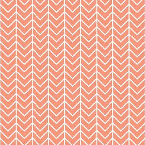 Blush Sprigs and Blooms Coordinate Chevron 6