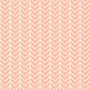 Blush Sprigs and Blooms Coordinate Chevron 4