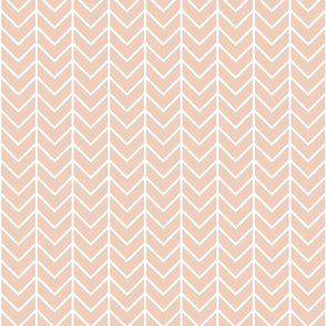 Blush Sprigs and Blooms Coordinate Chevron 1