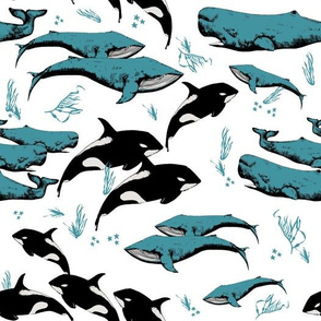 Whales