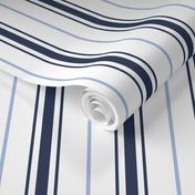 Blue Stripe Navy Stripe Carolina Blue Stripe Preppy Ticking