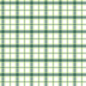 GreenPlaid