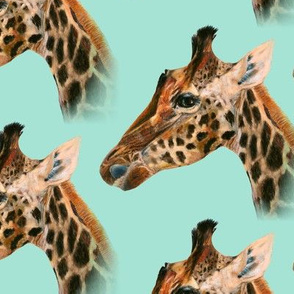 CHALK PASTEL GIRAFFE HEAD ALTERNATES ON AQUA