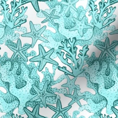 starfish  turquoise teal Watercolor Aqua coral ocean