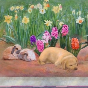 Nap in the Meadow, Rabbits and Puppy
