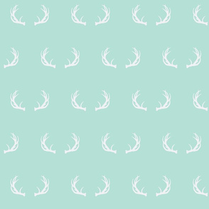 antlers // mint