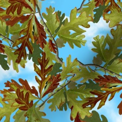 Canada White Oak Leaves Green Blue