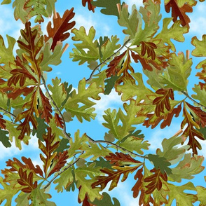 Canada White Oak Leaves Green Blue