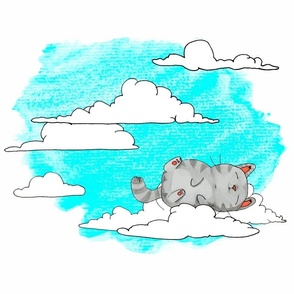 Sky Cat