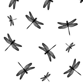 Dancing Dragonflies Black And White