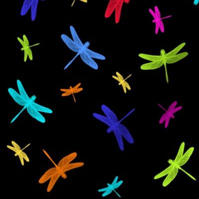 Dancing Dragonflies Rainbow