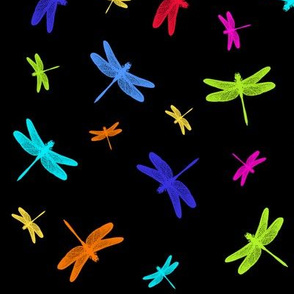 Dancing Dragonflies Rainbow