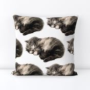 vintage retro kitsch whimsical black cats kittens monochrome black white sleeping napping