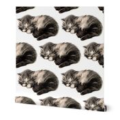 vintage retro kitsch whimsical black cats kittens monochrome black white sleeping napping