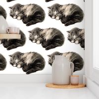 vintage retro kitsch whimsical black cats kittens monochrome black white sleeping napping