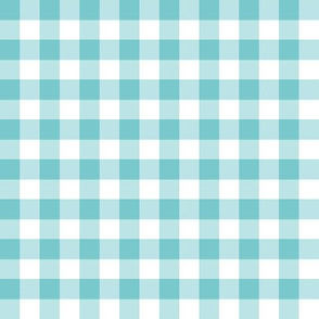 turquoise check