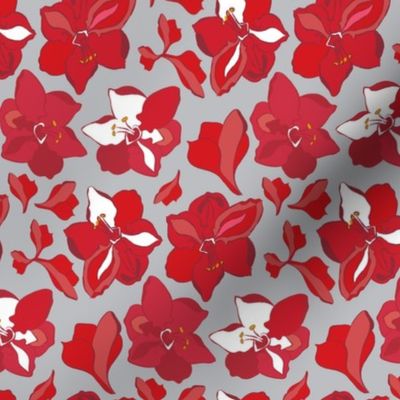 15-03A Christmas Red Winter Amaryllis Floral || White gray Grey  Christmas Flower Wine Large Scale blooms _Miss Chiff Designs