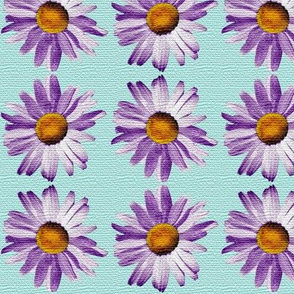 purple daisy