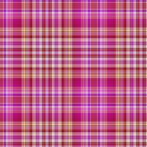 RASPBERRY AND MELON PLAID 1