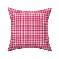 STRAWBERRY CHANTILLY BISCUIT PLAID PSMGE